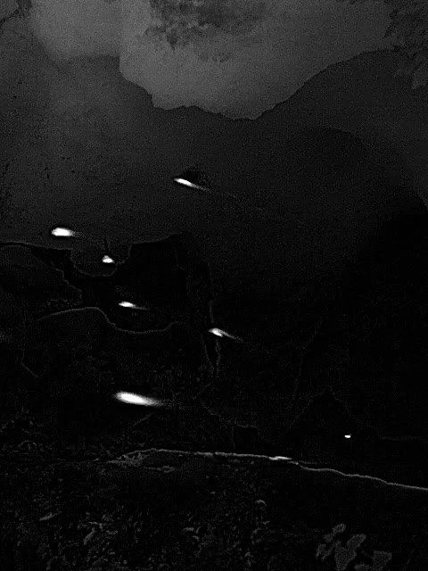 Thermal still: gray bats as bright streaks emerging from a dark cave entrance