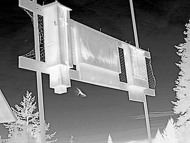 Thermal still: a pole-mounted roost box shot from below against open sky, with a bat in flight above it