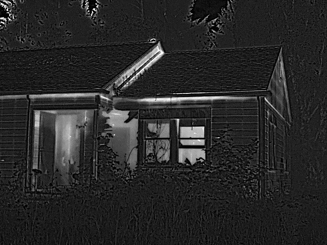 Thermal still: a building at night, with bats showing white hot against the cooler wall